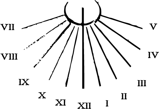 cadran-solaire-clos-mazetou-noir
