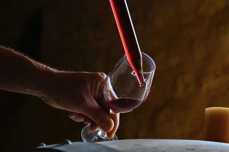 clos-mazetou-vinification